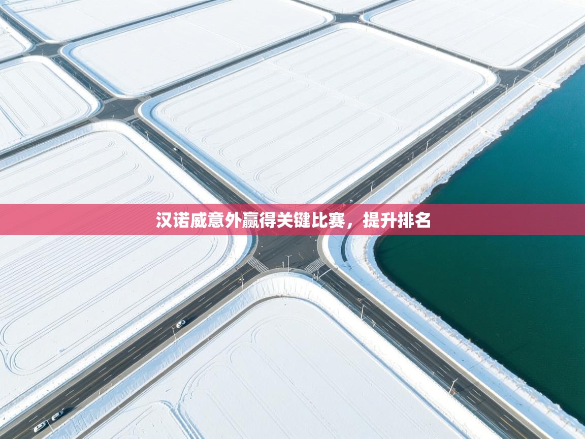 汉诺威意外赢得关键比赛,提升排名 第2张